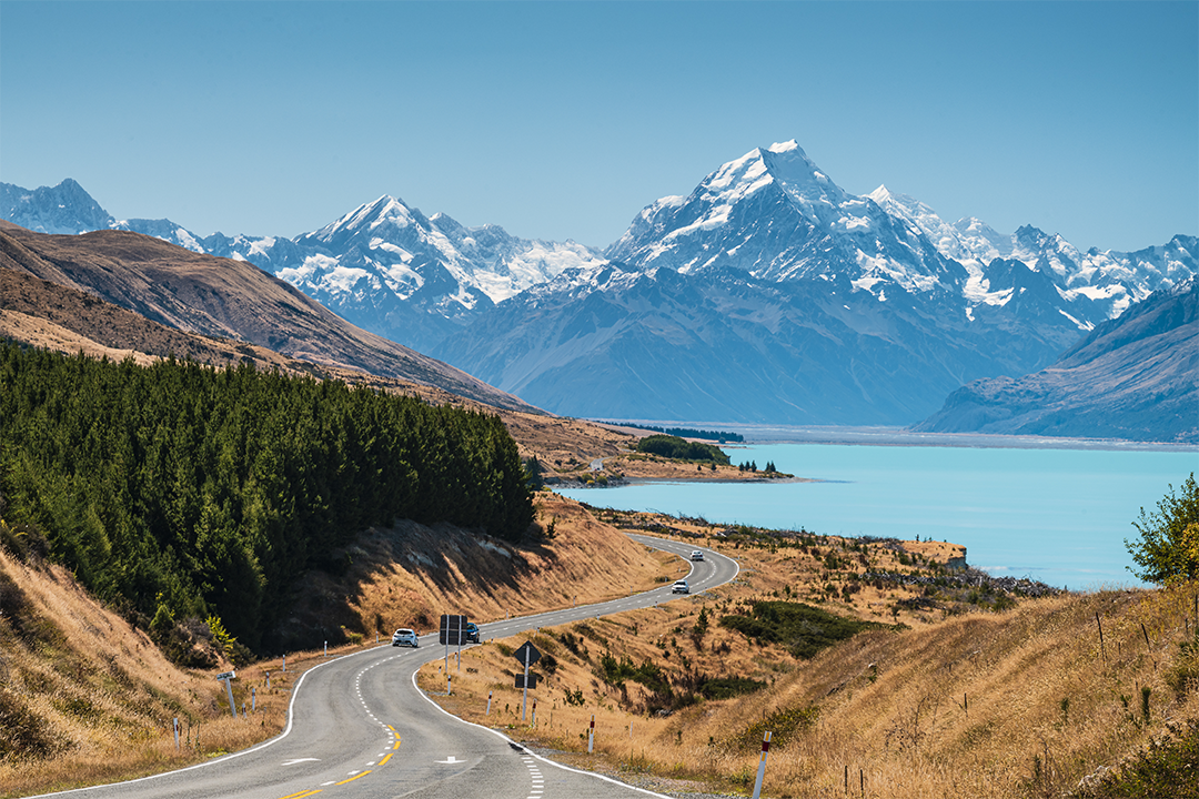 New Zealand Visit Visa