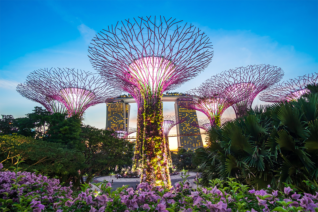 Singapore Visit Visa