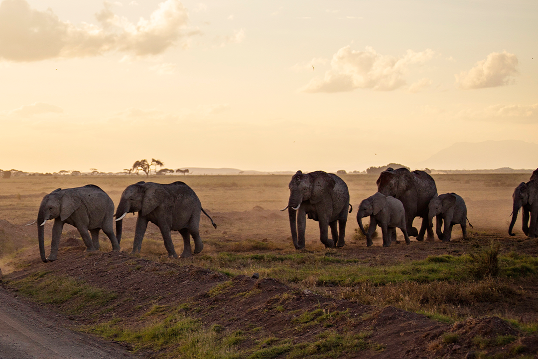 Tanzania Visit Visa